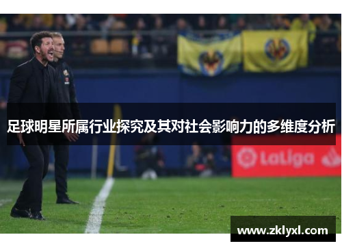 足球明星所属行业探究及其对社会影响力的多维度分析